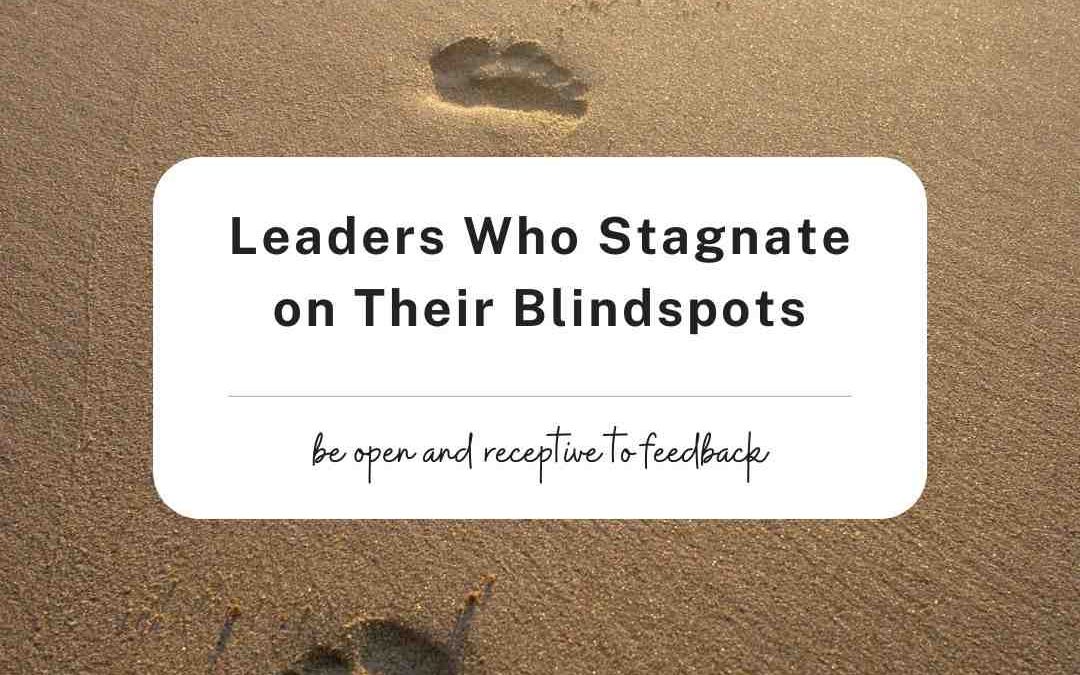 Leaders who stagnate om their blindspots