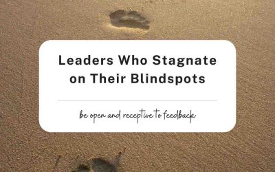 Leaders Who Stagnate on Their Blindspots
